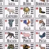 palpite para o jogo do bicho american roulette